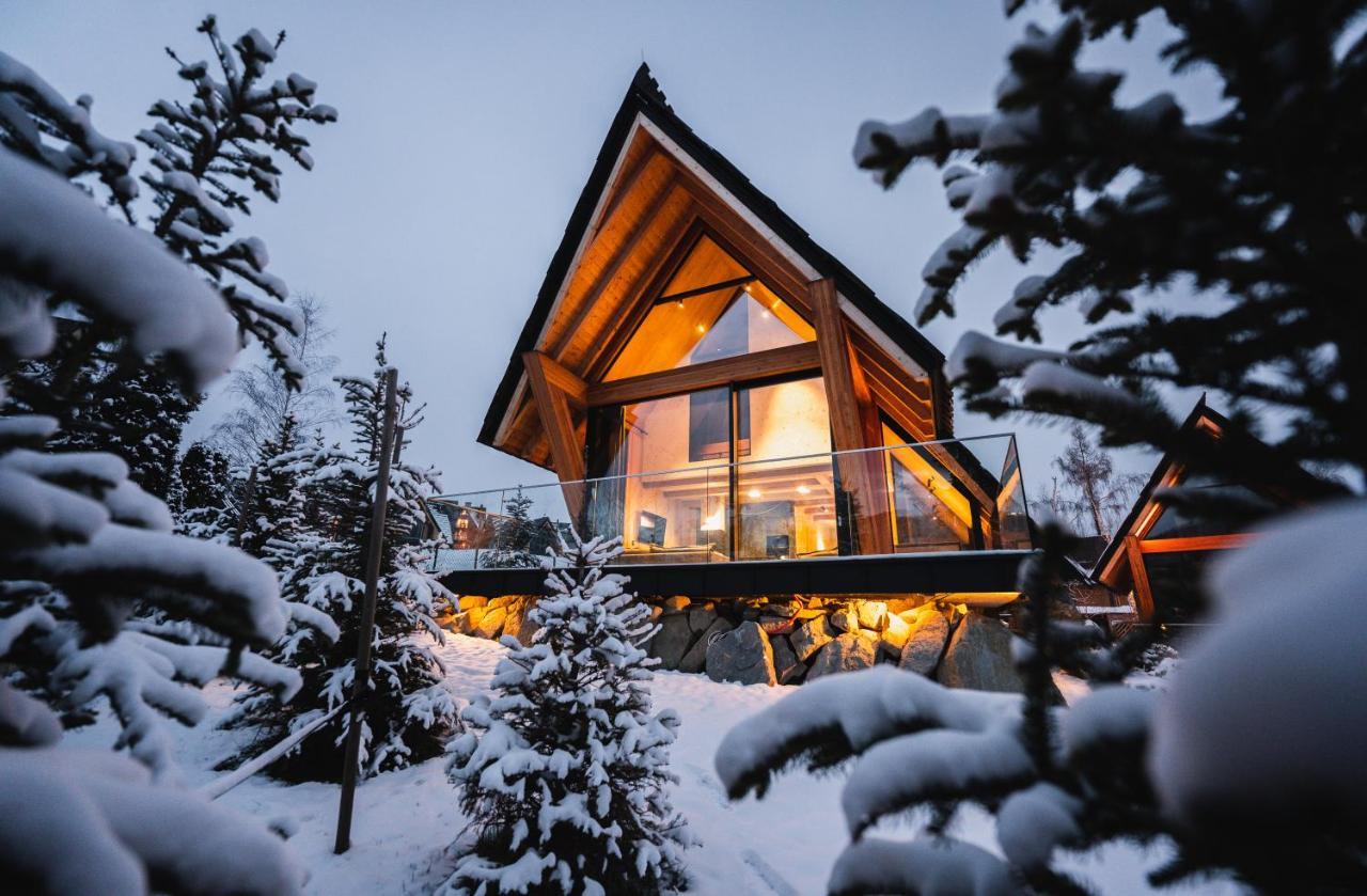 Vip Chalet Zakopane Косцелиско Экстерьер фото